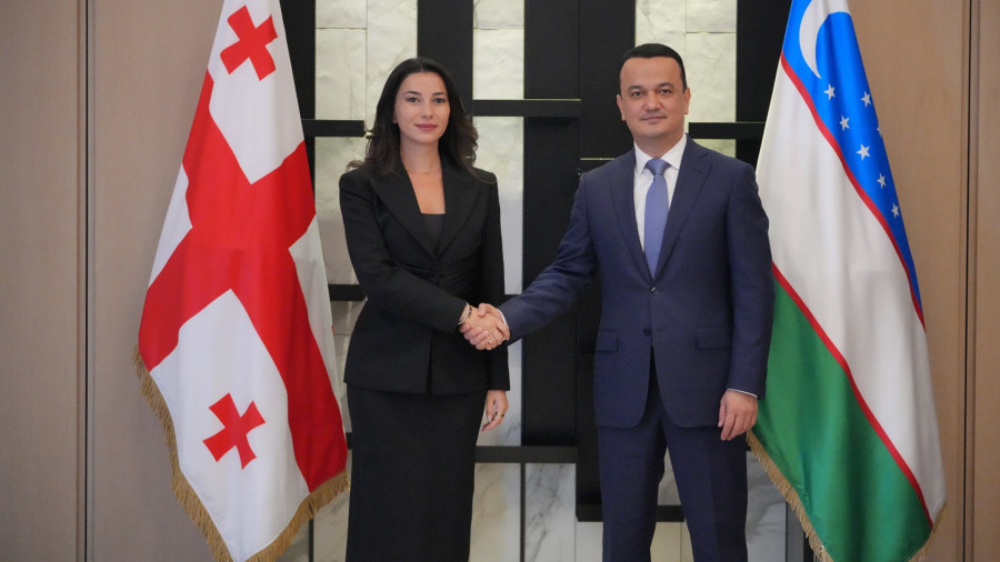 მარიამ ქვრივიშვილი უზბეკეთის ინვესტიციების, ინდუსტრიისა და ვაჭრობის მინისტრს, ლაზიზ კუდრატოვს შეხვდა