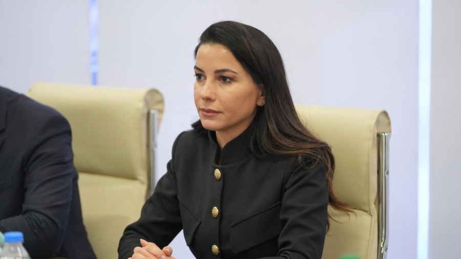 „ლენდლორდის" მოდელით ძალიან წარმატებული პორტები ოპერირებენ: ბელგიაში, სინგაპურში, ამერიკის შეერთებულ შტატებში, გერმანიაში, ნიდერლანდებში, საფრანგეთში და ა.შ. - საქართველო ხდება ამ ჩამონათვალიდან ერთ-ერთი, 2029 წლიდან, როდესაც ჩვენ მივიღებთ პირველ გემს ანაკლიის ღრმაწყლოვან პორტში l მარიამ ქვრივიშვილი