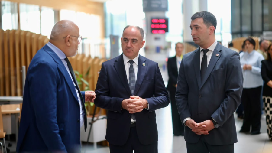 სემეკისა და იუსტიციის სახლის ერთობლივი პროექტის ფარგლებში მელიორაციის ახალი სერვისები ამოქმედდა