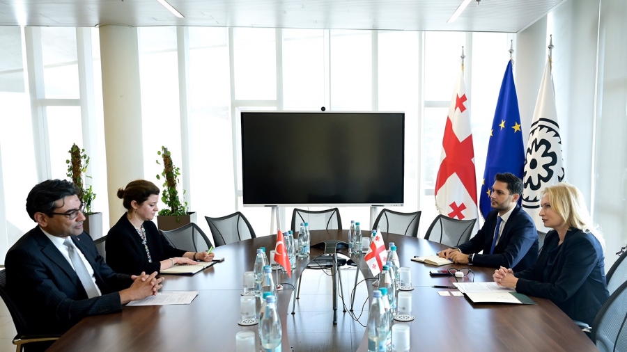 NBG Governor Meets Ambassador of Türkiye