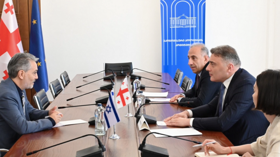 შოთა ბერეკაშვილი და ანტონ ობოლაშვილი ისრაელის საგანგებო და სრულუფლებიან ელჩს შეხვდნენ