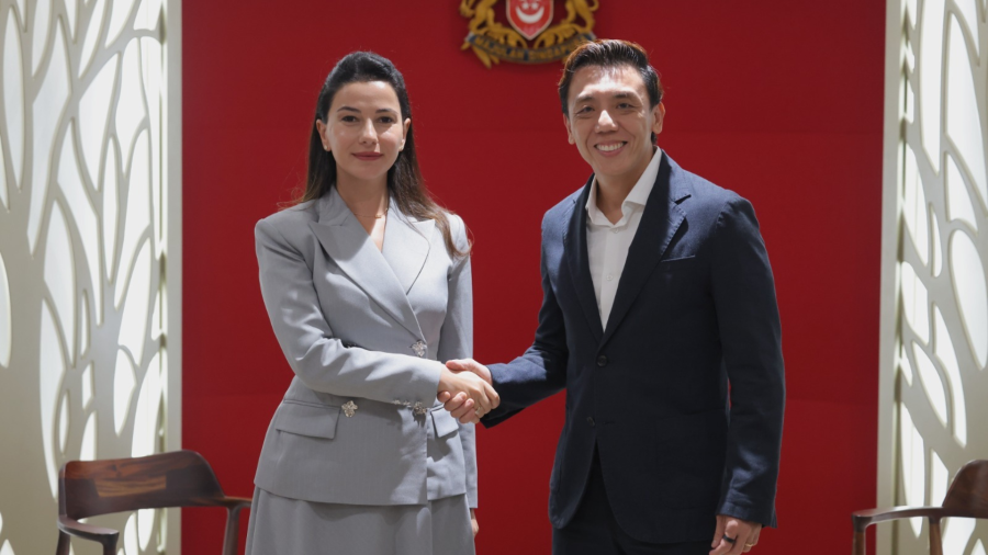მარიამ ქვრივიშვილი სინგაპურის ტრანსპორტის მინისტრსა და ფინანსთა სახელმწიფო მინისტრს შეხვდა
