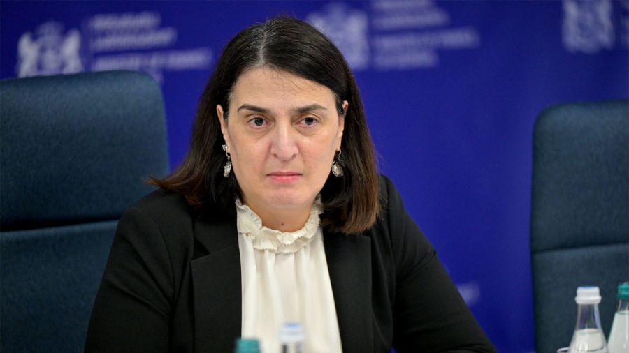საქართველოს საერთაშორისო რეზერვები ისტორიულ მაქსიმუმზეა და 7.5 მილიარდ აშშ დოლარს აღემატება - ეკატერინე მიქაბაძე