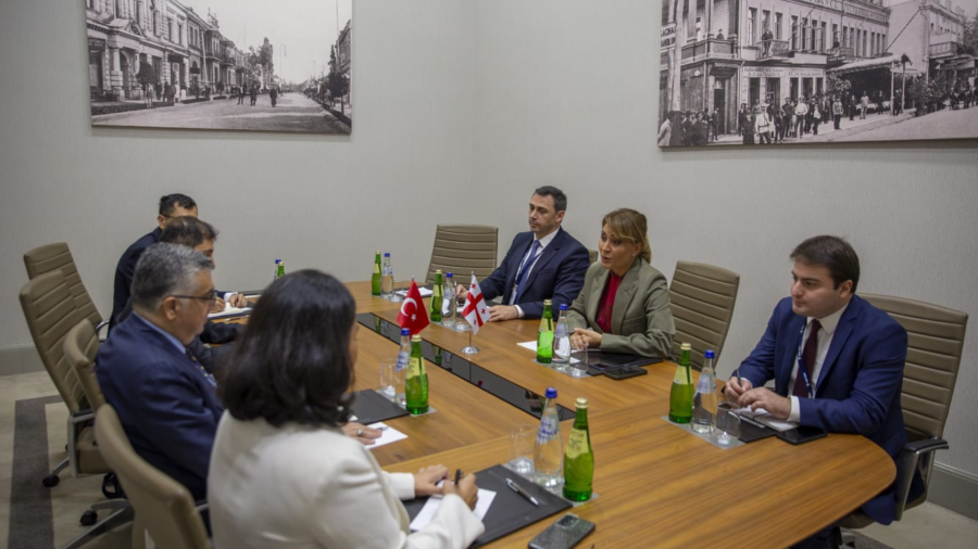 თამარ იოსელიანი თურქეთის ტრანსპორტისა და ინფრასტრუქტურის ვიცე-მინისტრს, დურმუშ უნიუვარს შეხვდა