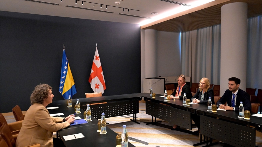 ნათია თურნავა ბოსნია და ჰერცეგოვინას ცენტრალური ბანკის პრეზიდენტს იასმინა სელიმოვიჩს შეხვდა