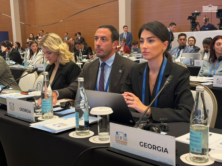 ლიკა შარტავა და ზურაბ რურუა ახალგაზრდა პარლამენტარების მე-12 გლობალურ კონფერენციაში მონაწილეობენ