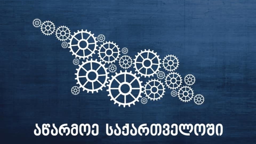 2026 წლის პირველ ნახევარში, ახალი ემისიების 49% (ღირებულებით), რაც შეადგენდა დაახლოებით 190 მილიონ ლარს, განხორციელდა აწარმოე საქართველოს პროგრამის მხარდაჭერით - სებ