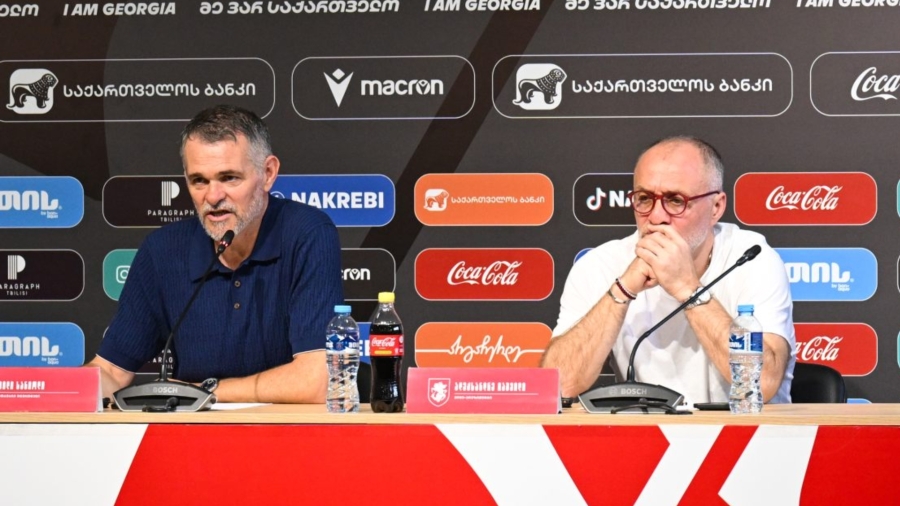 ვილი სანიოლის და ალექსანდრე იაშვილის პრესკონფერენცია