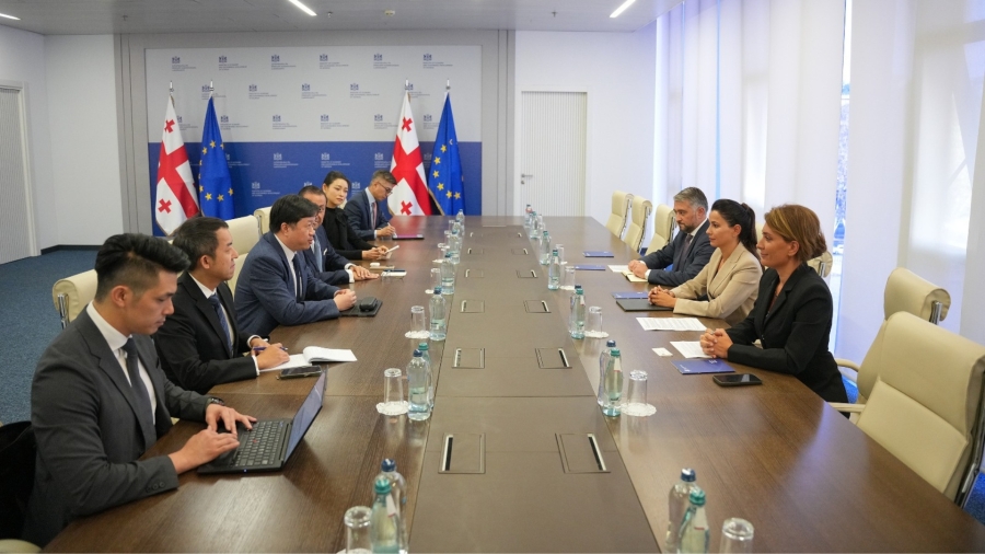 მარიამ ქვრივიშვილი აეროპორტების მართვისა და ინვესტიციების სფეროში მსოფლიოში ერთ-ერთი წამყვანი კომპანიის Changi Airports International-ის აღმასრულებელ დირექტორს, იუჯინ განს შეხვდა