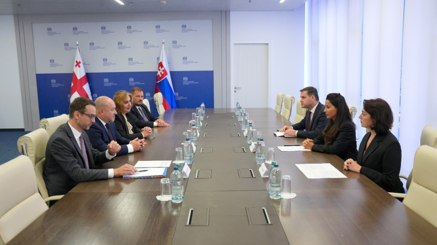 საქართველოს ეკონომიკისა და მდგრადი განვითარების მინისტრი, მარიამ ქვრივიშვილი სლოვაკეთის რესპუბლიკის ტურიზმისა და სპორტის მინისტრს, რუდოლფ ჰულიაკს შეხვდა