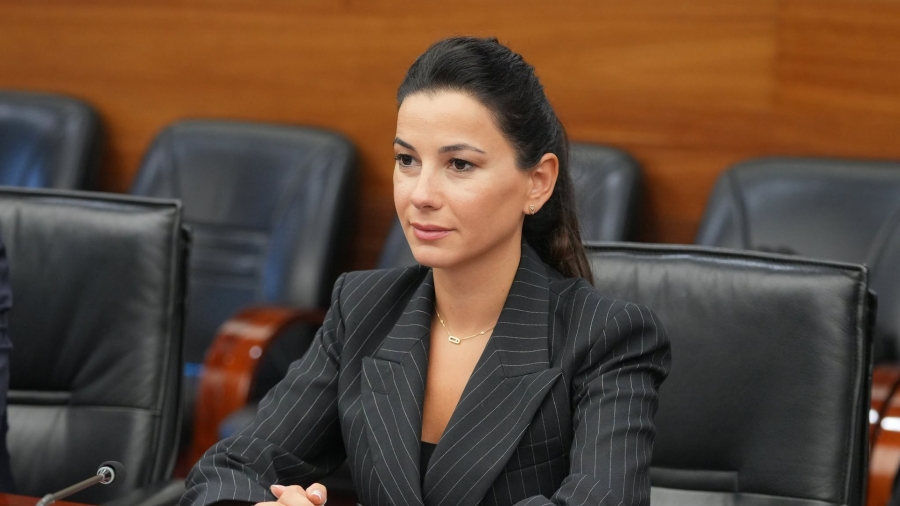 Visit to China reveals surging interest in investing in Georgia - Economy Minister