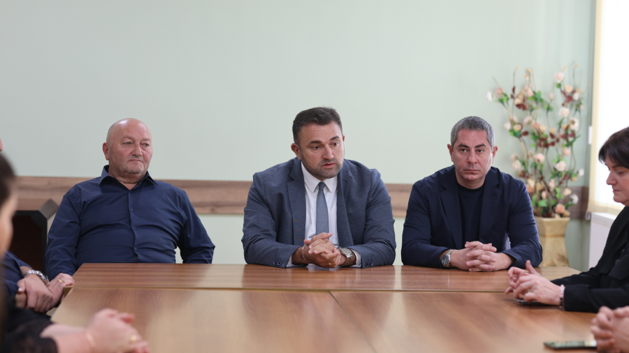 ცესკოს ხელმძღვანელი პირები ვანის საოლქო საარჩევნო კომისიის წარმომადგენლებს შეხვდნენ