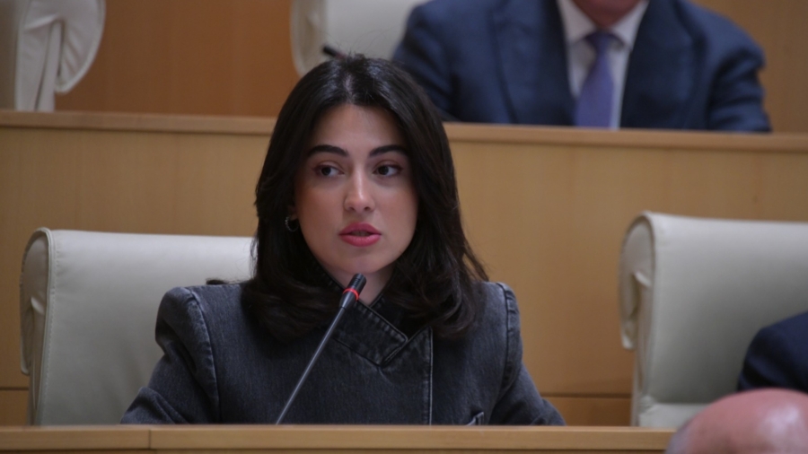 დღევანდელ გლობალურ ქაოსში საქართველო დგას მტკიცედ, ვითარდება და ინარჩუნებს სტაბილურობასა და უსაფრთხოებას - ლიკა შარტავა