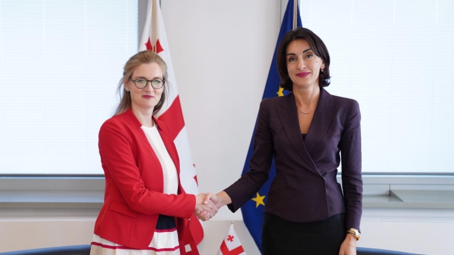Georgia’s Foreign Minister holds introductory meeting with newly appointed Swiss Ambassador