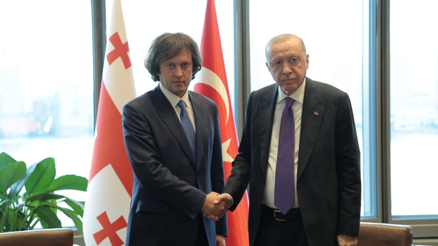 Georgian PM, Turkish President discuss regional projects, economic cooperation