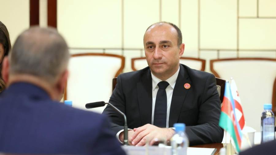 ჩინეთში ოფიციალური ვიზიტის ფარგლებში გეკა გელაძე ალი ნაგიევს შეხვდა