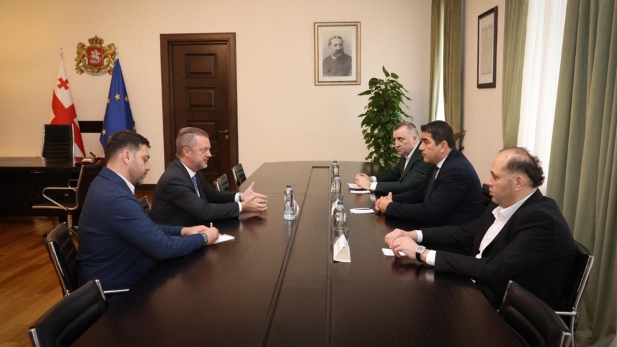 შალვა პაპუაშვილი საერთაშორისო პარალიმპიური კომიტეტის პრეზიდენტს, ენდრიუ პარსონსს შეხვდა