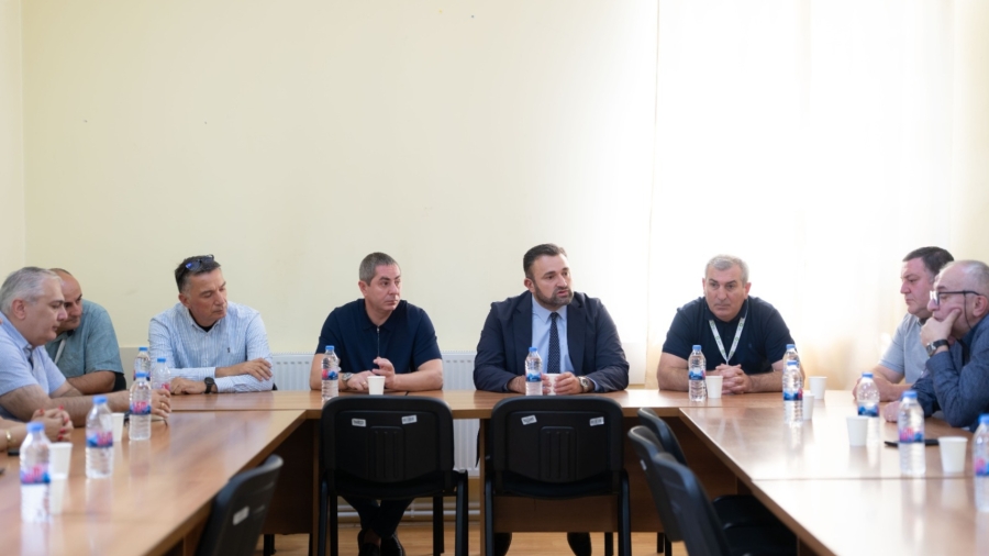 ცესკოს ხელმძღვანელი პირები ახმეტის საოლქო საარჩევნო კომისიას შეხვდნენ
