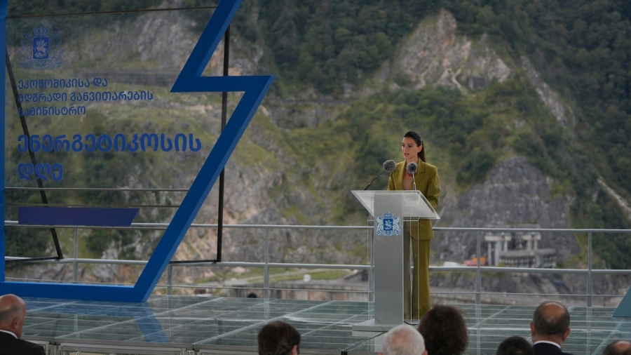 მხოლოდ მიმდინარე წელს საქართველოს ენერგოსისტემას 300 მეგავატზე მეტი ახალი განახლებადი სიმძლავრე შეემატება - მარიამ ქვრივიშვილი