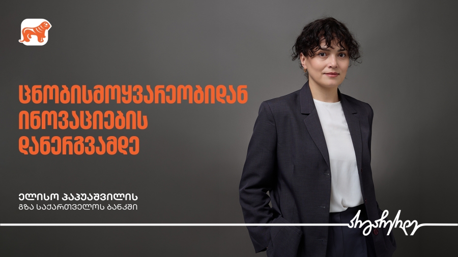 ცნობისმოყვარეობიდან ინოვაციების დანერგვამდე - ელისო პაპუაშვილის გზა საქართველოს ბანკში