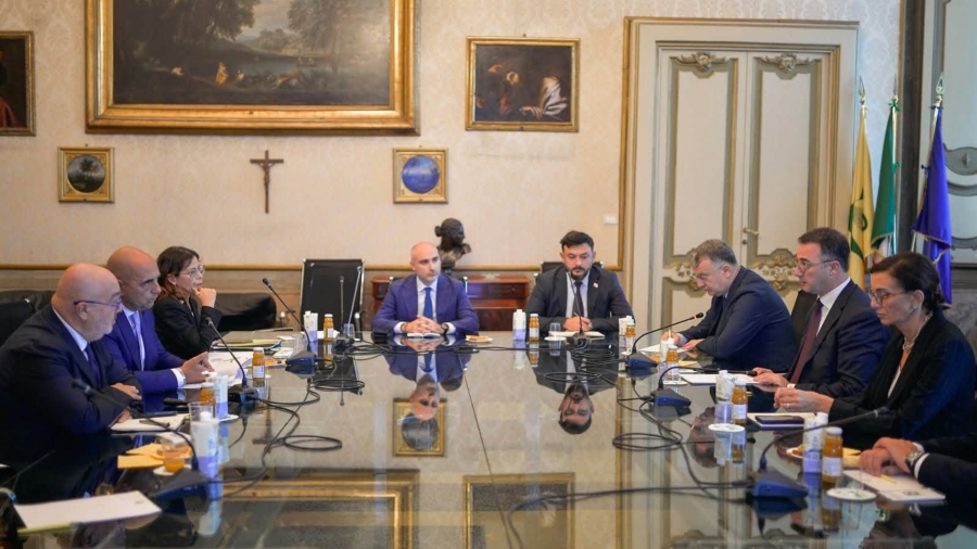 დავით სონღულაშვილი იტალიის აგროსასურსათო სექტორის წარმომადგენლებს შეხვდა