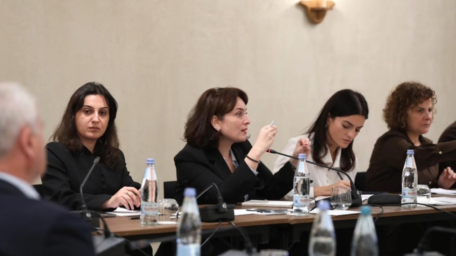 პარლამენტის კომიტეტების ერთობლივ სხდომაზე განვიხილეთ ტურიზმის სექტორში არსებული პოზიტიური დინამიკა - როგორც ვიზიტორების ნაკადის, ისე მიღებული შემოსავლების ჭრილში | მაია ომიაძე