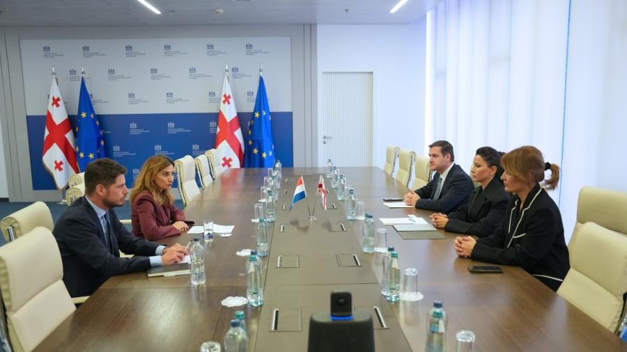საქართველოს ვიცე-პრემიერი, ეკონომიკისა და მდგრადი განვითარების მინისტრი მარიამ ქვრივიშვილი, საქართველოში ნიდერლანდების სამეფოს საგანგებო და სრულუფლებიან ელჩს შეხვდა