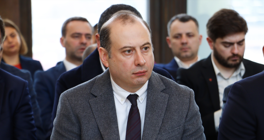 ჩვენ გვაქვს დიდი პერსპექტივა, გავხდეთ პროფიციტული, თვითკმარი, განვითარებადი და საბოლოოდ განვითარებული ქვეყანა და ამისთვის ყველა ნაბიჯს ვდგამთ - საქართველოს ფინანსთა მინისტრის მოადგილე