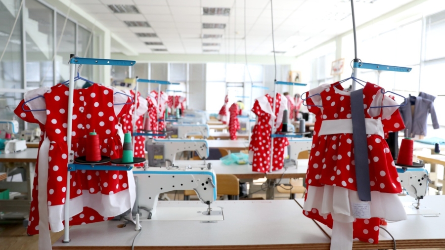 Registration opens for Study and Get Employed program, 22 new vocational courses added