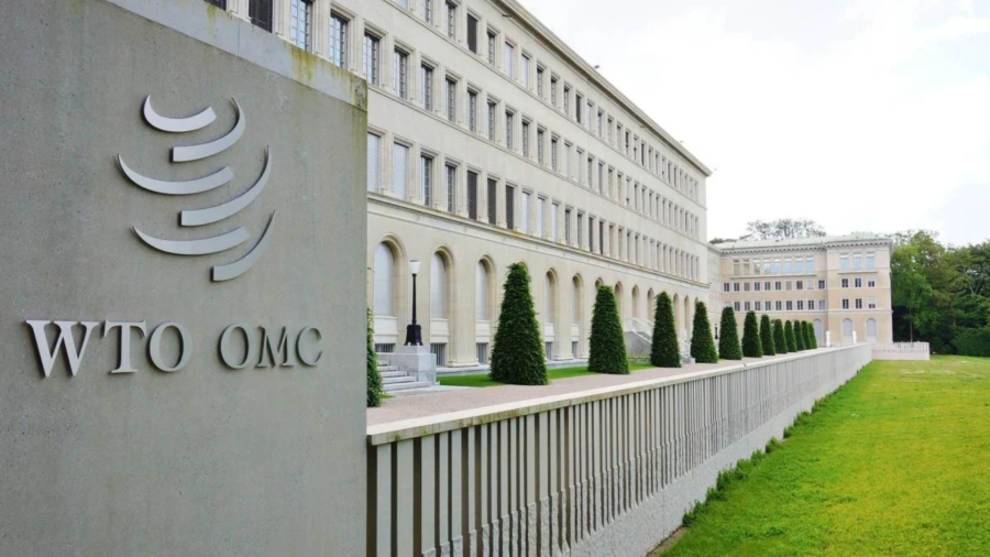 WTO-ის ხელმძღვანელის შეფასებით, ახლო აღმოსავლეთში მიმდინარე პროცესები საერთაშორისო ვაჭრობაზე ხანგრძლივ გავლენას მოახდენს