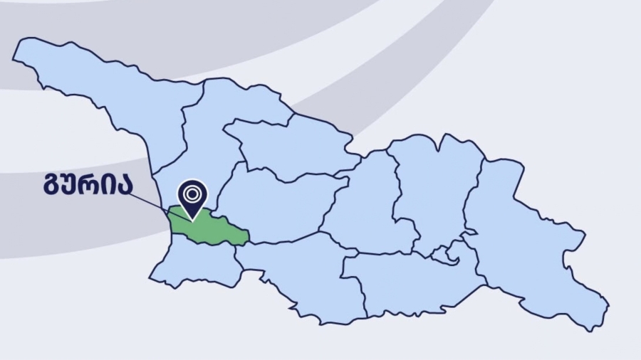 ველური ბუნების ეროვნული სააგენტოს მხარდაჭერით, ტანას ხეობაში 150 ფრთა გნოლი და 150 ფრთა კაკაბი ველურ ბუნებაში გაუშვეს