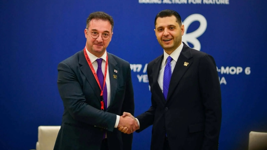 Minister of Environment Protection and Agriculture meets Armenian colleague within CBD COP17