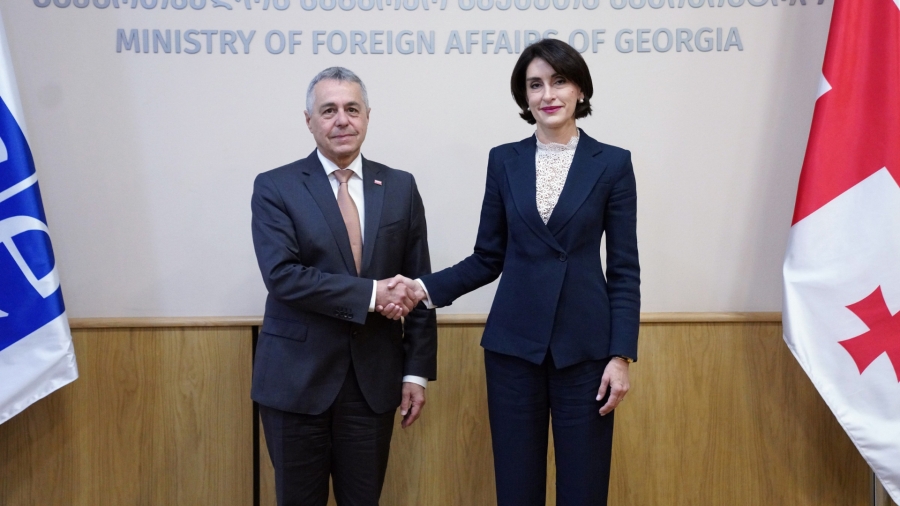 მაკა ბოჭორიშვილი ეუთო-ს მოქმედ თავმჯდომარეს, შვეიცარიის კონფედერაციის ვიცე-პრეზიდენტს, საგარეო საქმეთა ფედერალური დეპარტამენტის ხელმძღვანელს იგნასიო კასისს შეხვდა