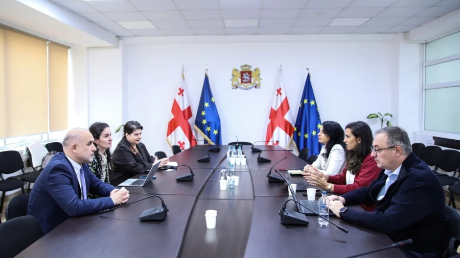 ირაკლი ფურცელაძე აზიის განვითარების ბანკის (ADB) წარმომადგენლებს შეხვდა
