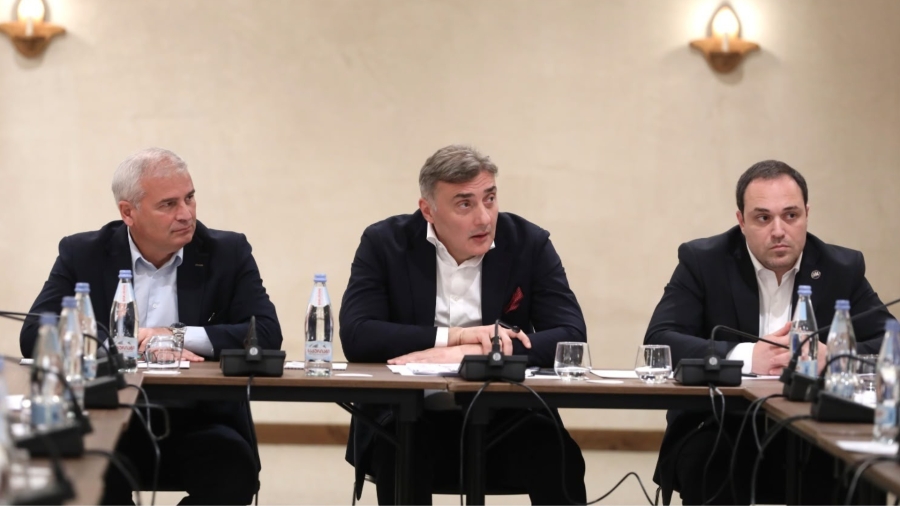 ყვარლის მუნიციპალიტეტში პარლამენტის სამი კომიტეტის ერთობლივი სხდომა გაიმართა - რა განიხილეს