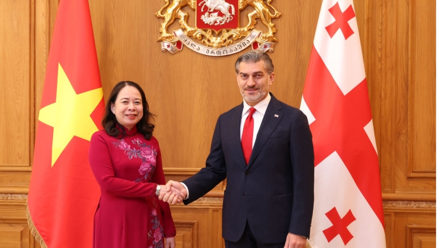 საქართველოს პრეზიდენტმა, მიხეილ ყაველაშვილმა პრეზიდენტის სასახლეში ვიეტნამის სოციალისტური რესპუბლიკის ვიცე-პრეზიდენტს, ვო თჰი ან სუანს უმასპინძლა