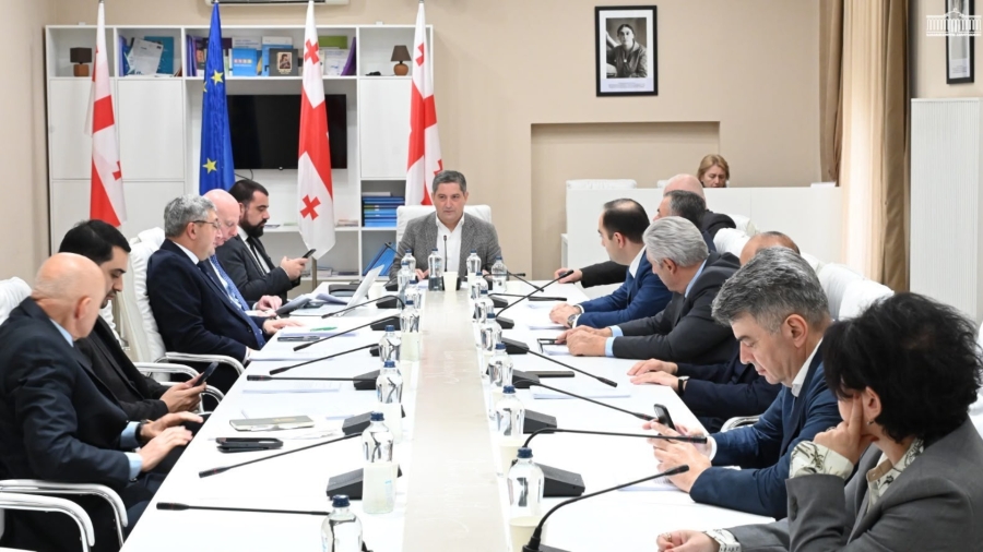 სოფლის მეურნეობის კომიტეტმა საქართველოს 2027 წლის სახელმწიფო ბიუჯეტის პროექტი განიხილა