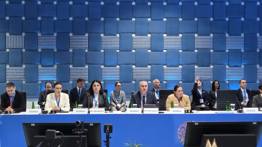 ეკატერინე მიქაბაძემ სსფ-ის და მსოფლიო ბანკის წლიური შეხვედრების ფარგლებში კავკასიისა და ცენტრალური აზიის მრგვალ მაგიდაში მიიღო მონაწილეობა