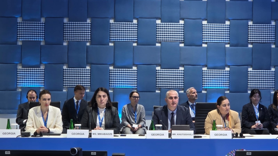 Finance Minister participates in round-table meeting of finance ministers, central bank governors from Caucasus, Central Asia region
