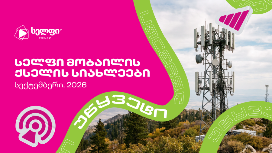 168 სადგური - სელფის ქსელის მასშტაბური განახლება გრძელდება