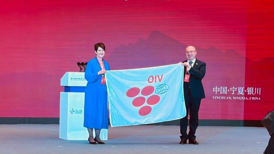 Georgian National Wine Agency Head Attends 47th OIV World Congress in China