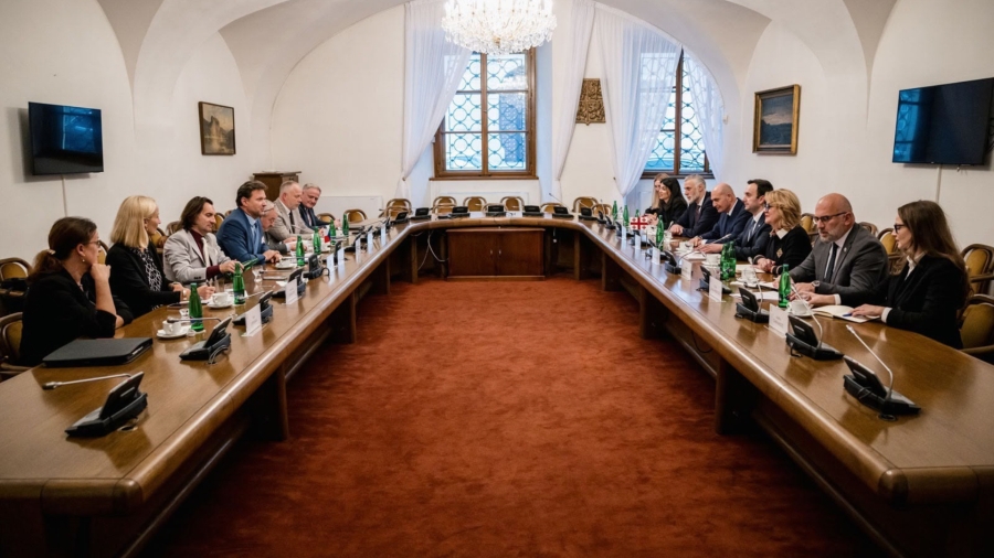 საქართველოს საპარლამენტო დელეგაცია ჩეხეთის პარლამენტში შეხვედრებს მართავს