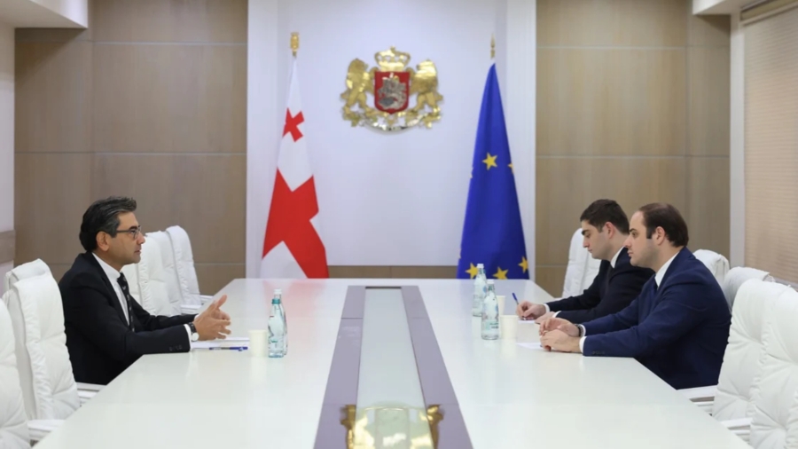 მთავრობის ადმინისტრაციის უფროსი თურქეთის ელჩს შეხვდა - რა განიხილეს