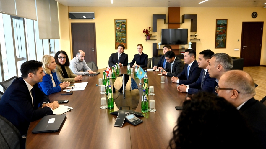 ნათია თურნავამ ასტანას საერთაშორისო ფინანსური ცენტრის მმართველ რენატ ბექტუროვთან შეხვედრა გამართა