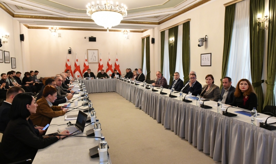 დავით ნარმანიამ პარლამენტში სემეკის 2025 წლის საქმიანობის ანგარიში წარადგინა