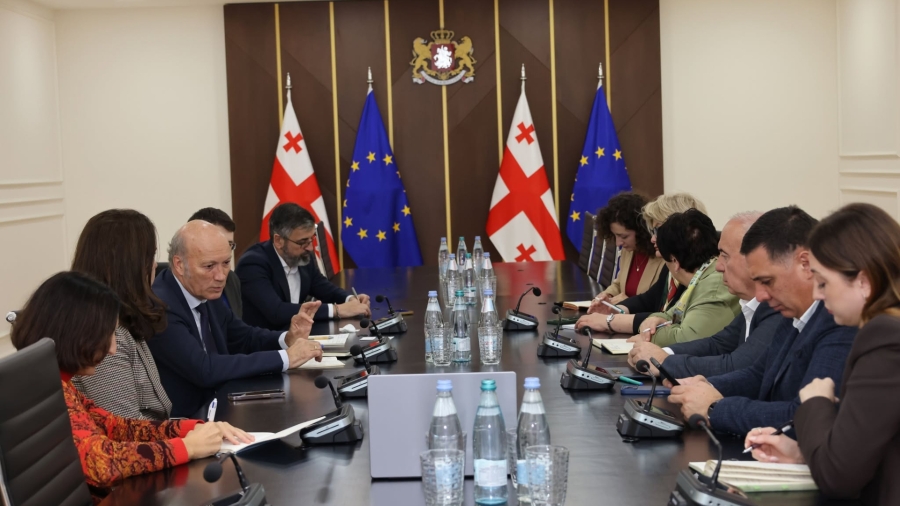 სოლომონ პავლიაშვილი მსოფლიო ბანკის წარმომადგენლებს შეხვდა