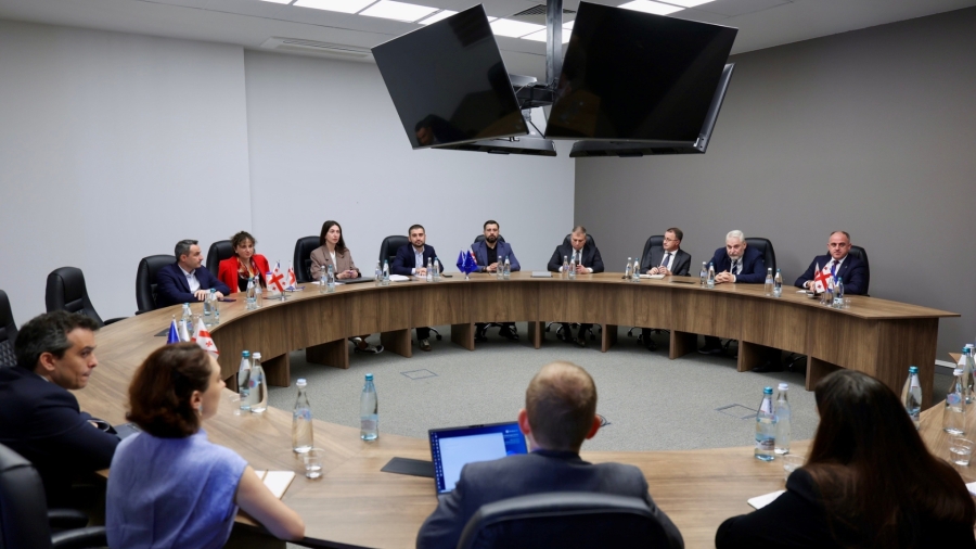 დავით ნარმანია მსოფლიო ბანკის ESPIRE მისიის წარმომადგენლებს შეხვდა