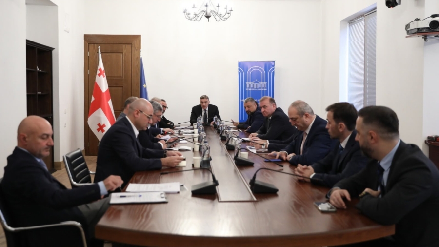 პარლამენტის ეკონომიკური პოლიტიკის კომიტეტმა კონკურენციისა და მომხმარებლის დაცვის სააგენტოს თავმჯდომარეს მოუსმინა - რა განიხილეს