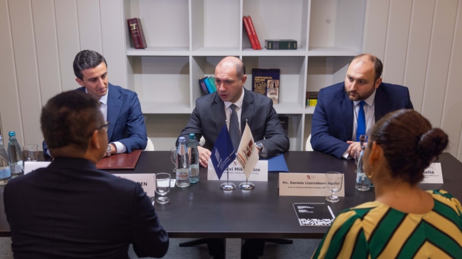 გივი მიქანაძე ინტელექტუალური საკუთრების მსოფლიო ორგანიზაციის (WIPO) აკადემიის დირექტორს შეხვდა