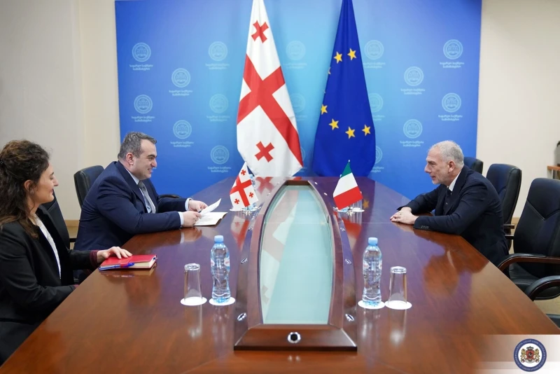 ლაშა დარსალია იტალიის ახლადდანიშნულ ელჩს შეხვდა